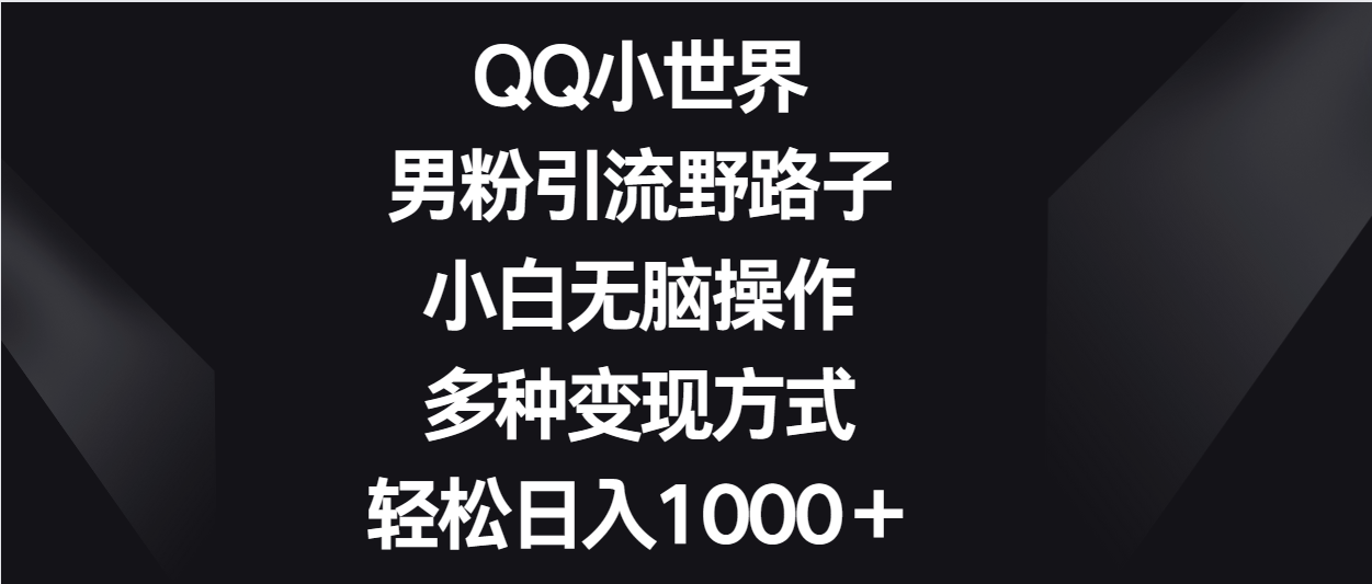 QQ小世界男粉引流野路子，小白无脑操作，多种变现方式轻松日入1000＋-橙尔网赚two