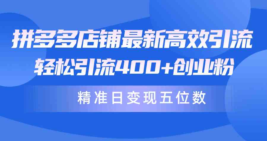 （10041期）拼多多店铺最新高效引流术，轻松引流400+创业粉，精准日变现五位数！-橙尔网赚two