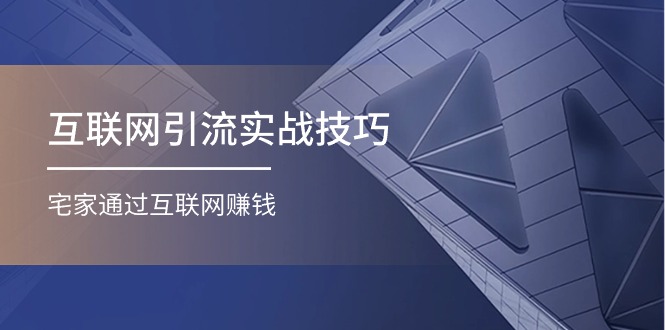 （11108期）互联网引流实操技巧(适合微商，吸引宝妈)，宅家通过互联网赚钱（17节）-橙尔网赚two