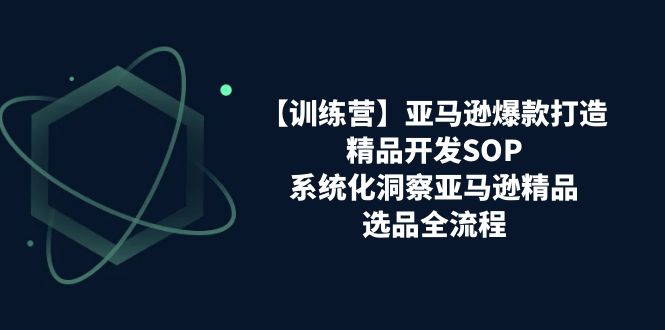 （11210期）【训练营】亚马逊爆款打造之精品开发SOP，系统化洞察亚马逊精品选品全流程-橙尔网赚two