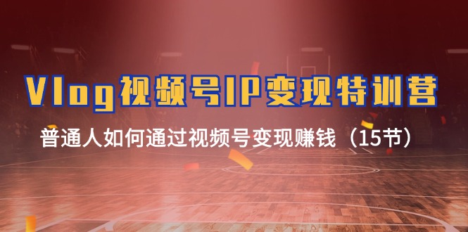 （11654期）Vlog 视频号IP变现特训营，普通人如何通过视频号变现赚钱（15节）-橙尔网赚two