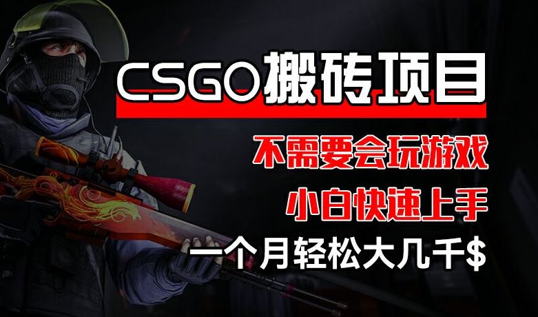CSGO 装备搬砖项目，操作简单，不需要会玩游戏，小白也能快速上手，一个月轻松大几千【揭秘】-橙尔网赚two