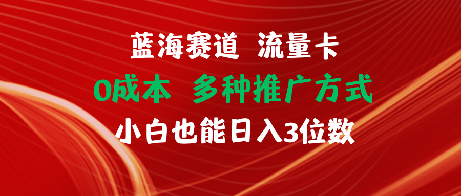（11768期）蓝海赛道 流量卡 0成本 小白也能日入三位数-橙尔网赚two