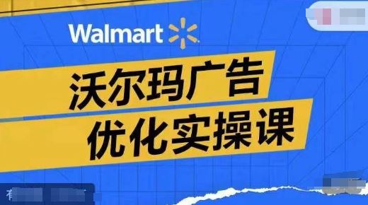 沃尔玛广告优化实操课，广告报告实操讲解，广告如何提高转化和ROAS等-橙尔网赚two