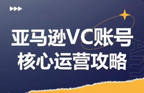 亚马逊VC账号核心玩法解析，实战经验拆解产品模块运营技巧，提升店铺GMV，有效提升运营利润-橙尔网赚two