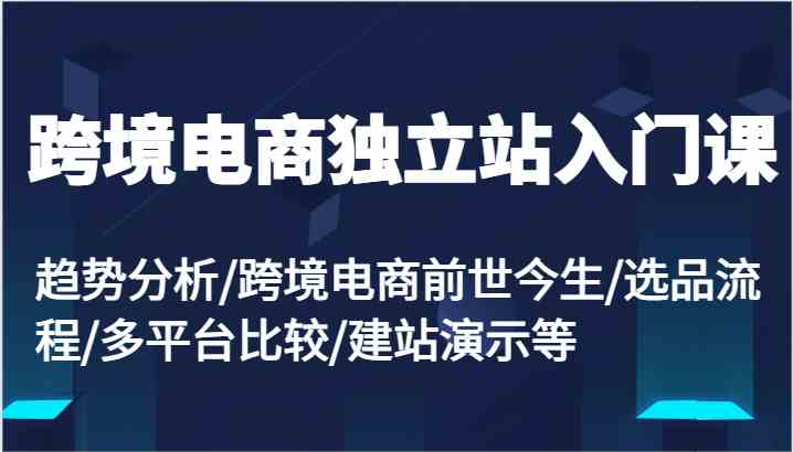 跨境电商独立站入门课：趋势分析/跨境电商前世今生/选品流程/多平台比较/建站演示等-橙尔网赚two