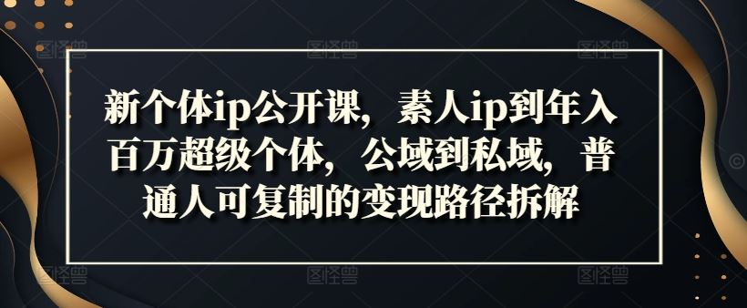 新个体ip公开课，素人ip到年入百万超级个体，公域到私域，普通人可复制的变现路径拆解-橙尔网赚two
