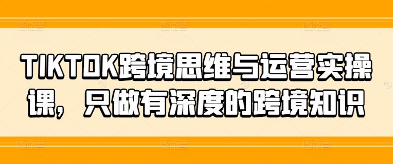 TIKTOK跨境思维与运营实操课，只做有深度的跨境知识-橙尔网赚two