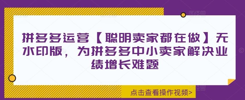 拼多多运营【聪明卖家都在做】无水印版，为拼多多中小卖家解决业绩增长难题-橙尔网赚two