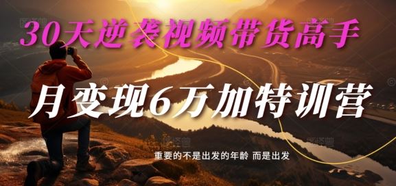 30天逆袭视频带货高手，单月变现6万加特训营-麦子甜-橙尔网赚two
