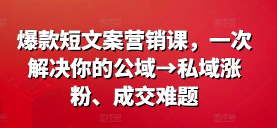爆款短文案营销课，一次解决你的公域→私域涨粉、成交难题-橙尔网赚two