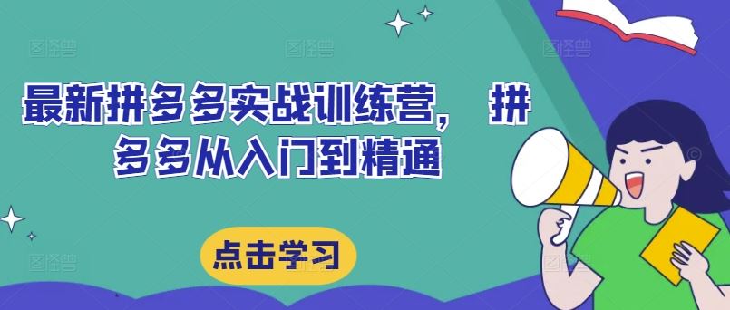 最新拼多多实战训练营， 拼多多从入门到精通-橙尔网赚two