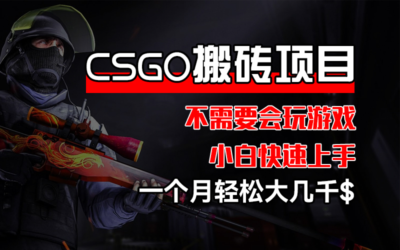 （12332期）CSGO 装备搬砖项目，操作简单，不需要会玩游戏，小白也能快速上手，一…-橙尔网赚two