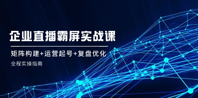 （12338期）企 业 直 播 霸 屏实战课：矩阵构建+运营起号+复盘优化，全程实操指南-橙尔网赚two