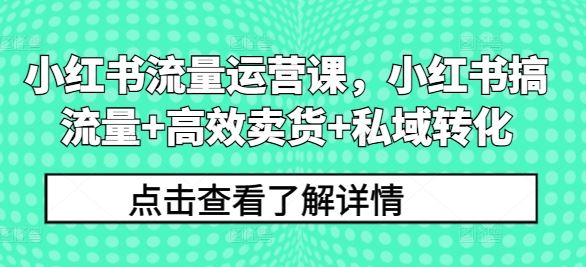 小红书流量运营课，小红书搞流量+高效卖货+私域转化-橙尔网赚two