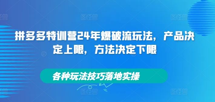 拼多多特训营24年爆破流玩法，产品决定上限，方法决定下限，各种玩法技巧落地实操-橙尔网赚two