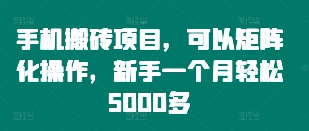 手机搬砖项目，可以矩阵化操作，新手一个月轻松5000多-橙尔网赚two