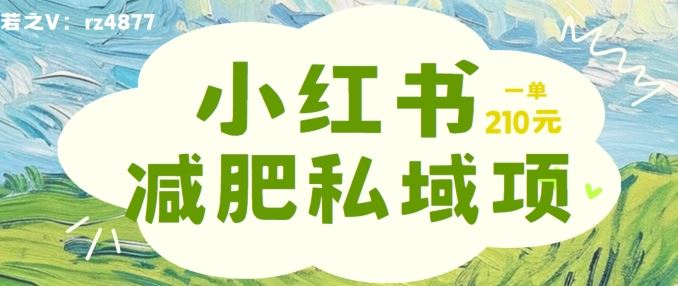 小红书减肥粉，私域变现项目，一单就达210元，小白也能轻松上手【揭秘】-橙尔网赚two