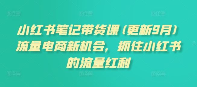 小红书笔记带货课(更新9月)流量电商新机会，抓住小红书的流量红利-橙尔网赚two