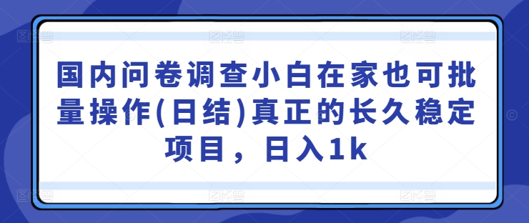 国内问卷调查小白在家也可批量操作(日结)真正的长久稳定项目，日入1k【揭秘】-橙尔网赚two