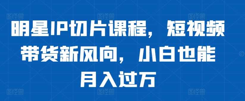 明星IP切片课程，短视频带货新风向，小白也能月入过万-橙尔网赚two