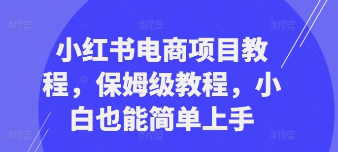 小红书电商项目教程，保姆级教程，小白也能简单上手-橙尔网赚two