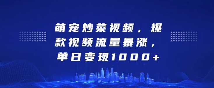 萌宠炒菜视频，爆款视频流量暴涨，单日变现1k-橙尔网赚two