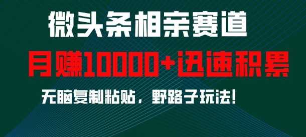 微头条相亲赛道，迅速积累，无脑复制粘贴，野路子玩法，月入1w-橙尔网赚two