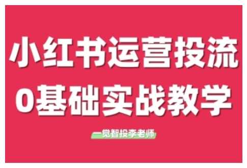 小红书运营投流，小红书广告投放从0到1的实战课，学完即可开始投放-橙尔网赚two