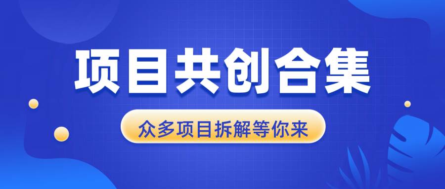 （13778期）项目共创合集，从0-1全过程拆解，让你迅速找到适合自已的项目-橙尔网赚two