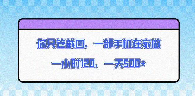 （13785期）你只管截图，一部手机在家做，一小时120，一天500+-橙尔网赚two