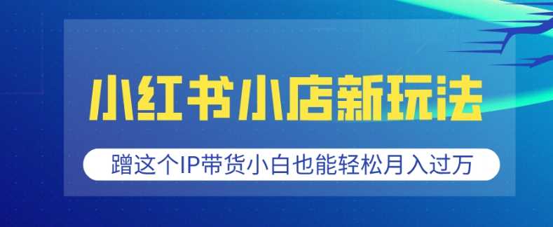 小红书小店新玩法，蹭这个IP带货，小白也能轻松月入过W【揭秘】-橙尔网赚two