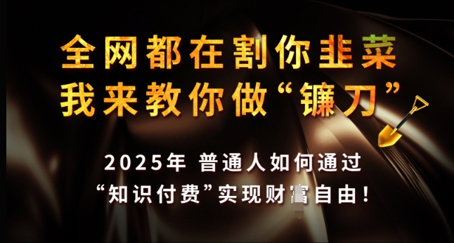 全网都在割你韭菜，我来教你做镰刀，2025年普通人如何通过 知识付费 实现财F自由【揭秘】-橙尔网赚two