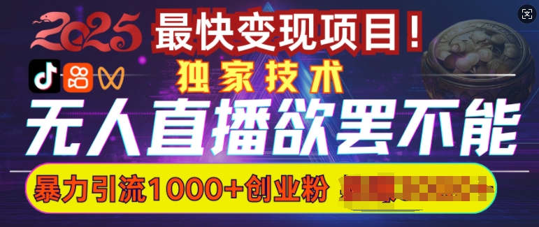 欲罢不能的无人直播引流，超暴力日引流1000+高质量精准创业粉-橙尔网赚two