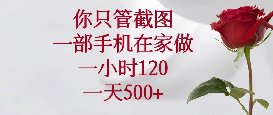 你只管截图，一部手机在家做，一小时120，一天500+-橙尔网赚two