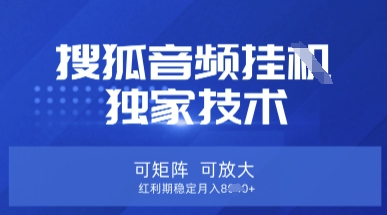 【搜狐音频挂G】独家技术，可矩阵可放大，红利期稳定月入8k【揭秘】-橙尔网赚two