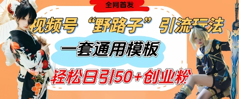 视频号“野路子”玩法，评论区疯狂截流，一套模板单日单号引流50+创业粉-橙尔网赚two