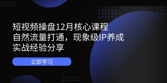 短视频操盘12月核心课程：自然流量打通，现象级IP养成，实战经验分享-橙尔网赚two