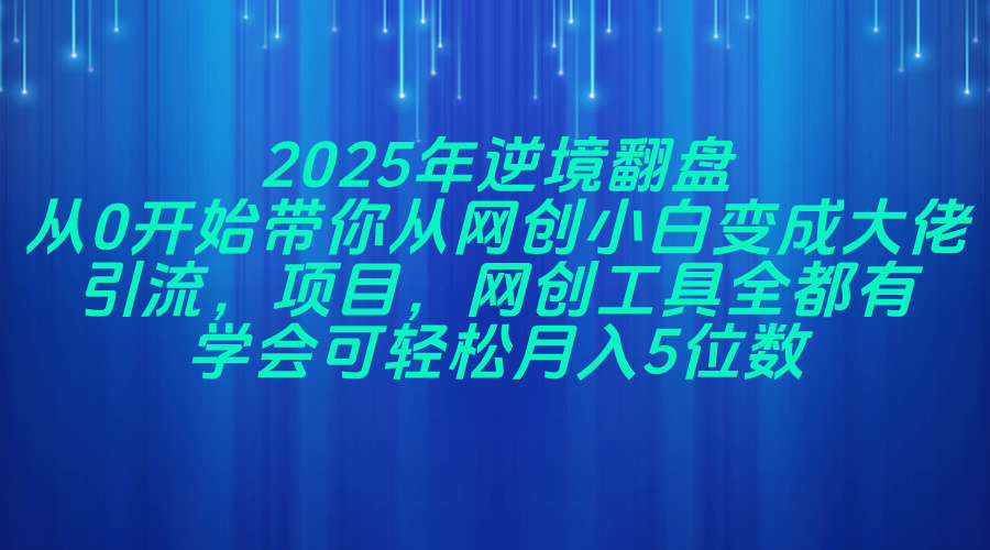2025年逆境翻盘，从0开始带你从网创小白变成大佬，引流，项目，网创工…-橙尔网赚two
