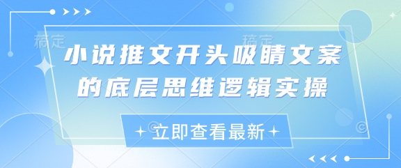 小说推文开头吸睛文案的底层思维逻辑实操-橙尔网赚two