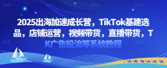 2025出海加速成长营，TikTok基建选品，店铺运营，视频带货，直播带货，TK广告投流等系统教程-橙尔网赚two