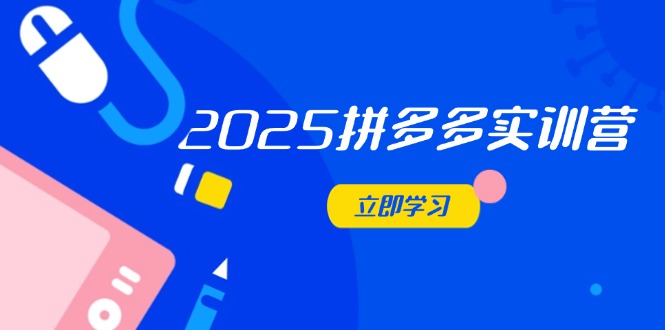 2025拼多多实训营：深度剖析运营关键，助力电商人快速提升-橙尔网赚two
