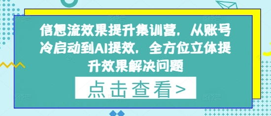 信息流效果提升集训营，从账号冷启动到AI提效，全方位立体提升效果解决问题-橙尔网赚two