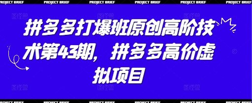 拼多多打爆班原创高阶技术第43期，拼多多高价虚拟项目-橙尔网赚two