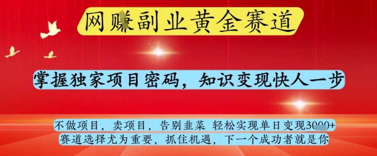 网创副业黄全赛道，掌握独家项目密码，知识变现快人一步，告别韭菜轻松实现单日变现1k+【揭秘】-橙尔网赚two