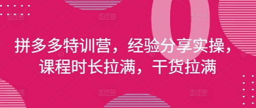 拼多多特训营，经验分享实操，课程时长拉满，干货拉满(更新25年4月)-橙尔网赚two