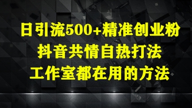 日引流500+精准创业粉，抖音共情自热打法，工作室都在用的方法-橙尔网赚two