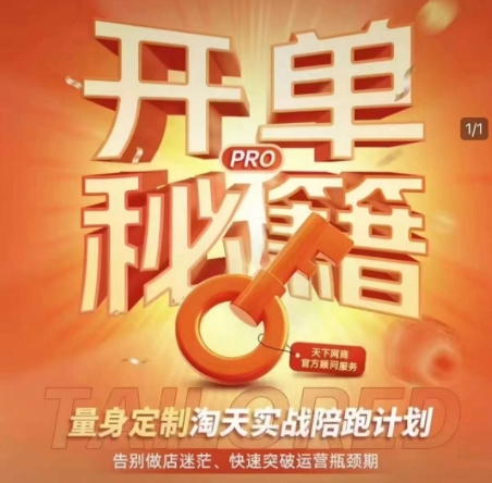 淘宝开单秘籍PRO，量身定制淘天实战陪跑计划，告别做店迷茫、快速突破运营瓶颈期(更新)-橙尔网赚two