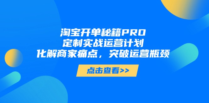 淘宝开单秘籍PRO，定制实战运营计划，化解商家痛点，突破运营瓶颈-橙尔网赚two