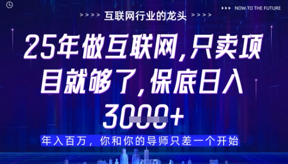 什么！25年你还在找项目做？风口早就变了，卖项目才是稳挣不赔【揭秘】-橙尔网赚two
